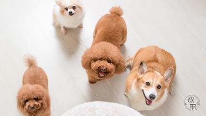 tp钱包旧版本安卓