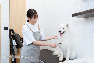 新版TP钱包下载