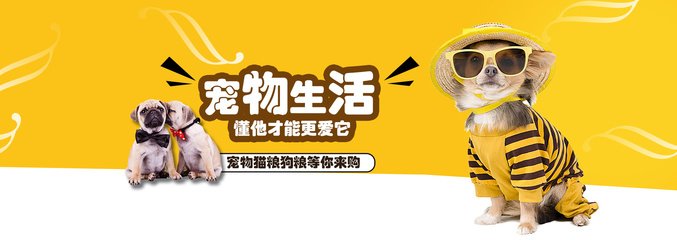 小狐狸钱包最新版官方网址6.0