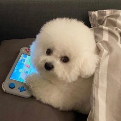 ETH钱包安卓版